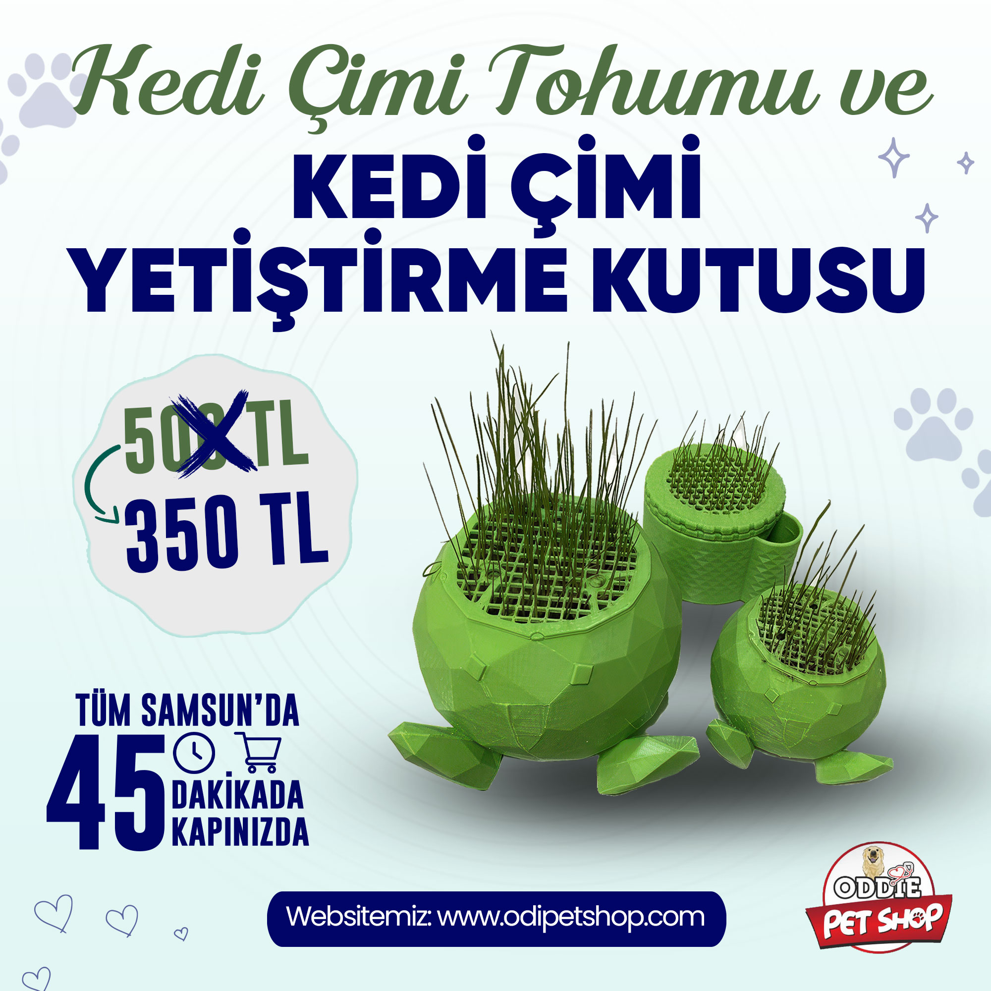 Meta İçin Reklamlar